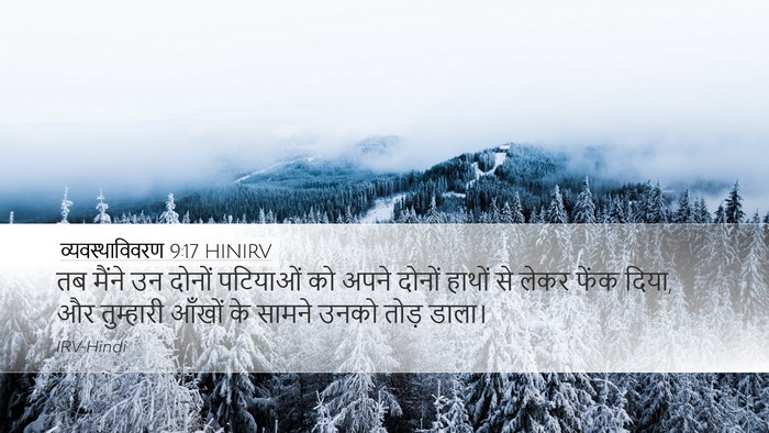 व्यवस्थाविवरण 9:17 HINIRV Desktop Wallpaper - तब मैंने उन दोनों - Desktop Bible Verse Wallpaper