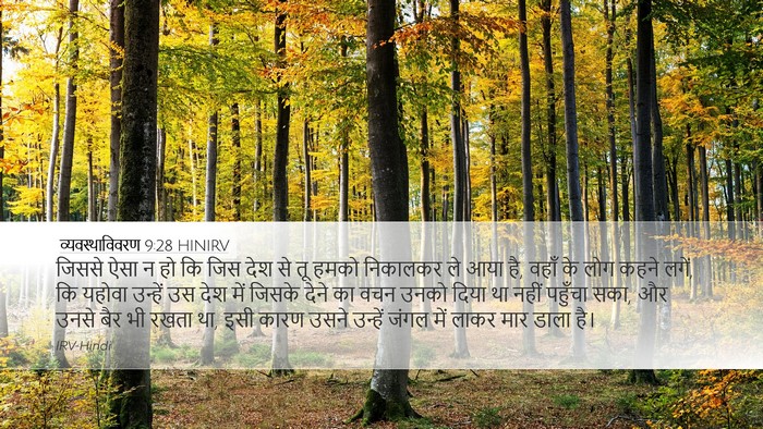 व्यवस्थाविवरण 9:28 HINIRV Bible Verse Image