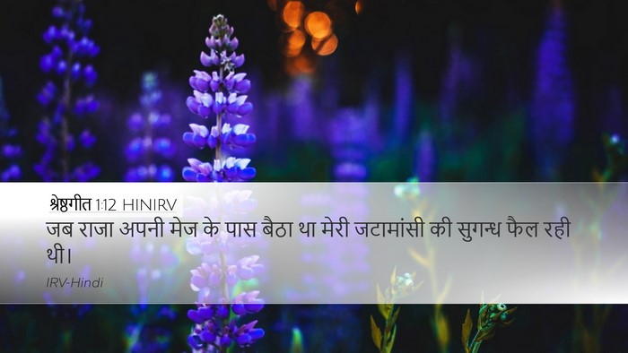 श्रेष्ठगीत 1:12 HINIRV Bible Verse Image