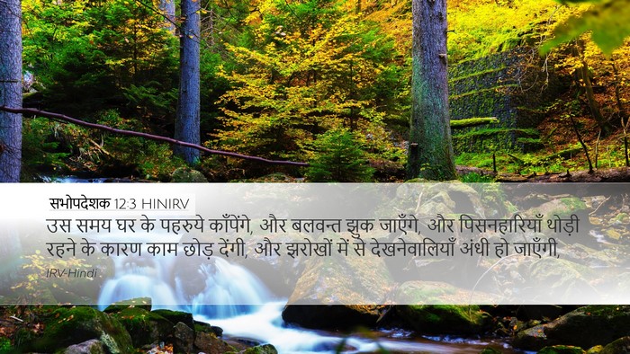 सभोपदेशक 12:3 HINIRV Bible Verse Image