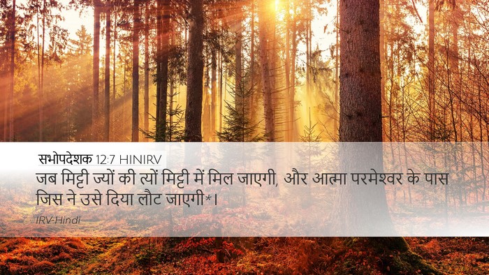 सभोपदेशक 12:7 HINIRV Bible Verse Image