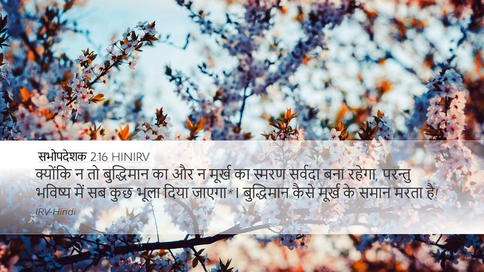 सभोपदेशक 2:16 HINIRV Bible Verse Image