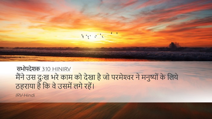 सभोपदेशक 3:10 HINIRV Desktop Wallpaper - मैंने उस दुःख भरे - Desktop Bible Verse Wallpaper