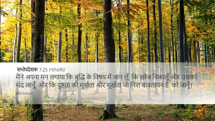 सभोपदेशक 7:25 HINIRV Bible Verse Image