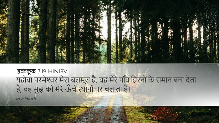 हबक्कूक 3:19 HINIRV Bible Verse Image