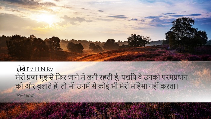 होशे 11:7 HINIRV Bible Verse Image