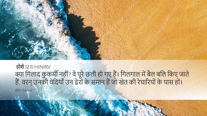 होशे 12:11 HINIRV Bible Verse Image