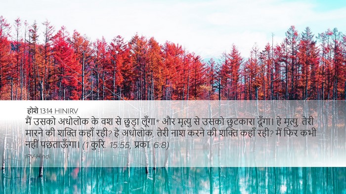होशे 13:14 HINIRV Bible Verse Image
