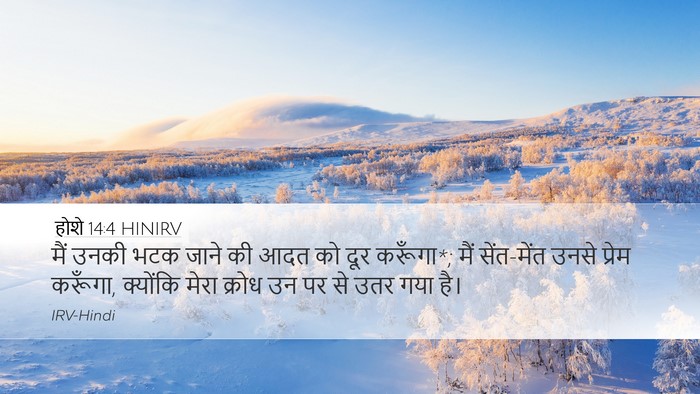 होशे 14:4 HINIRV Bible Verse Image