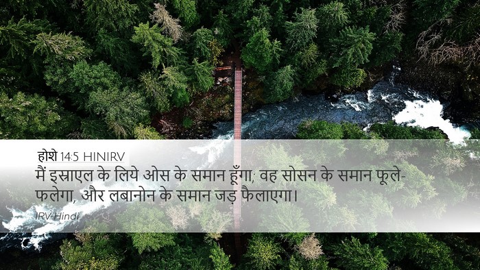होशे 14:5 HINIRV Bible Verse Image