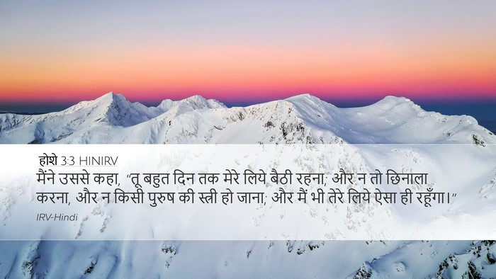 होशे 3:3 HINIRV Desktop Wallpaper - मैंने उससे कहा, “तू - Desktop Bible Verse Wallpaper