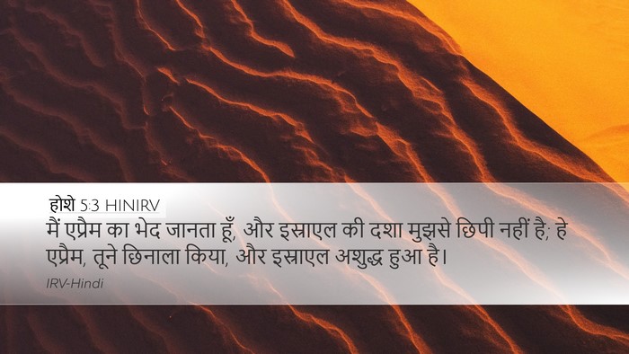 होशे 5:3 HINIRV Desktop Wallpaper - मैं एप्रैम का भेद - Desktop Bible Verse Wallpaper