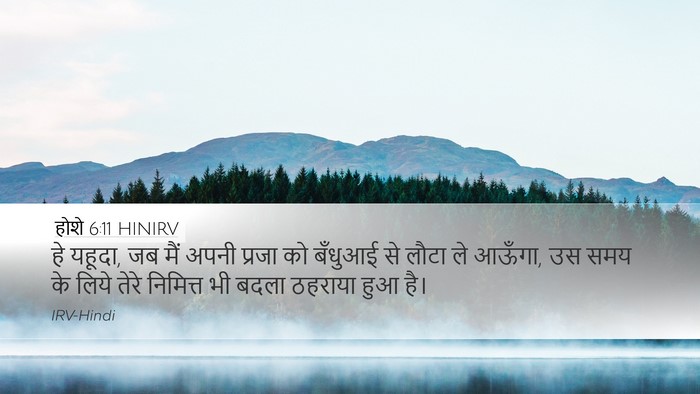 होशे 6:11 HINIRV Bible Verse Image