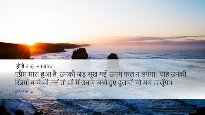 होशे 9:16 HINIRV Bible Verse Image