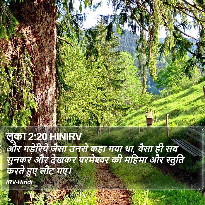 लूका 2:20 HINIRV - और गड़ेरिये जैसा