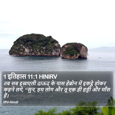 1 इतिहास 11:1 HINIRV Bible Verse Image