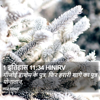 1 इतिहास 11:34 HINIRV Bible Verse Image
