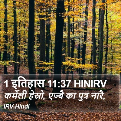 1 इतिहास 11:37 HINIRV Bible Verse Image