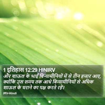 1 इतिहास 12:29 HINIRV Bible Verse Image