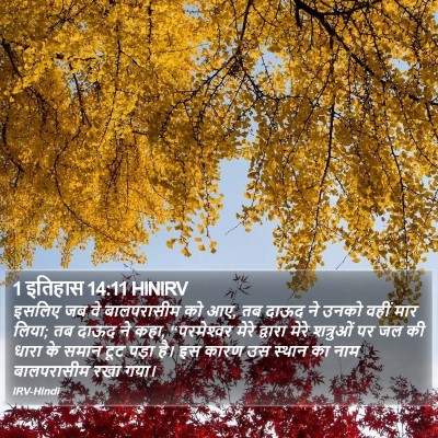 1 इतिहास 14:11 HINIRV Bible Verse Image