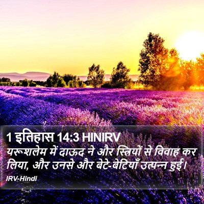 1 इतिहास 14:3 HINIRV Bible Verse Image