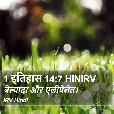 1 इतिहास 14:7 HINIRV Bible Verse Image