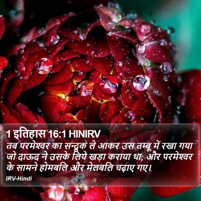 1 इतिहास 16:1 HINIRV Bible Verse Image