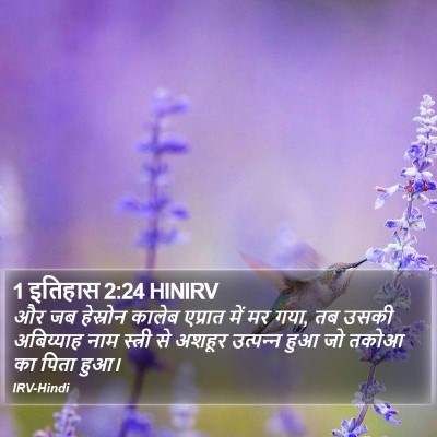1 इतिहास 2:24 HINIRV Bible Verse Image
