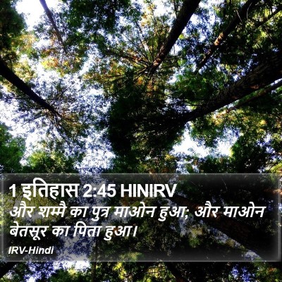 1 इतिहास 2:45 HINIRV Bible Verse Image