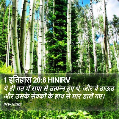 1 इतिहास 20:8 HINIRV Bible Verse Image