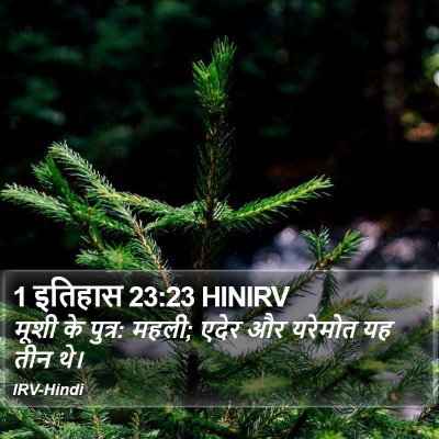 1 इतिहास 23:23 HINIRV Bible Verse Image