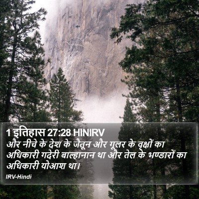 1 इतिहास 27:28 HINIRV Bible Verse Image