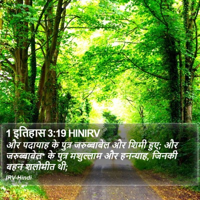 1 इतिहास 3:19 HINIRV Bible Verse Image