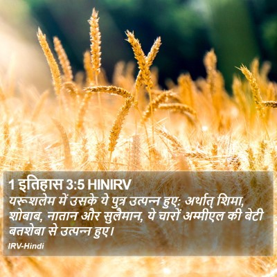 1 इतिहास 3:5 HINIRV Bible Verse Image