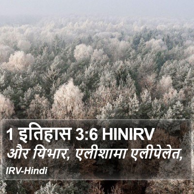 1 इतिहास 3:6 HINIRV Bible Verse Image