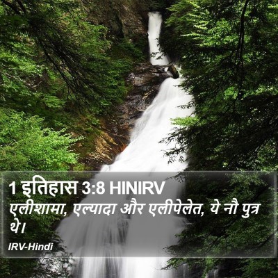 1 इतिहास 3:8 HINIRV Bible Verse Image