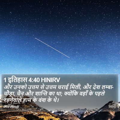 1 इतिहास 4:40 HINIRV Bible Verse Image