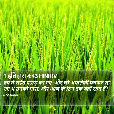 1 इतिहास 4:43 HINIRV Bible Verse Image