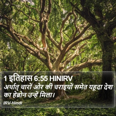 1 इतिहास 6:55 HINIRV Bible Verse Image