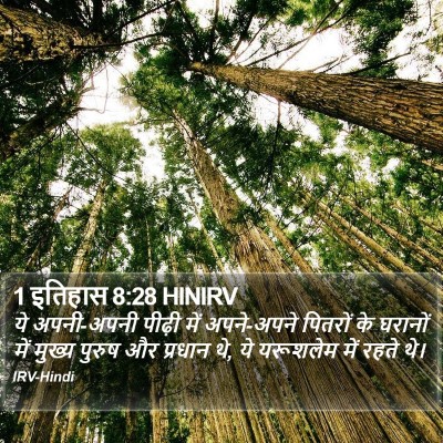 1 इतिहास 8:28 HINIRV Bible Verse Image