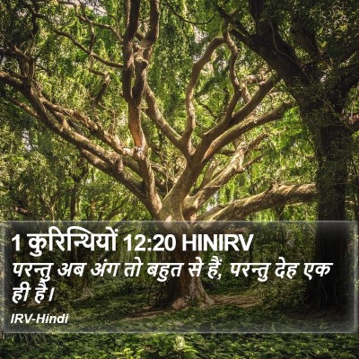 1 कुरिन्थियों 12:20 HINIRV Bible Verse Image