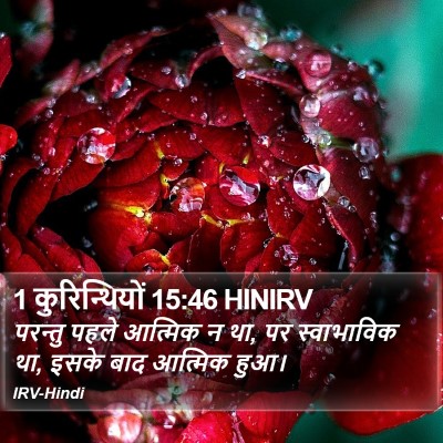 1 कुरिन्थियों 15:46 HINIRV Bible Verse Image