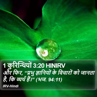 1 कुरिन्थियों 3:20 HINIRV Bible Verse Image