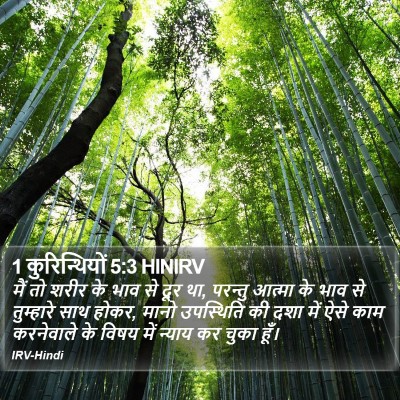1 कुरिन्थियों 5:3 HINIRV Bible Verse Image