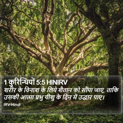 1 कुरिन्थियों 5:5 HINIRV Bible Verse Image