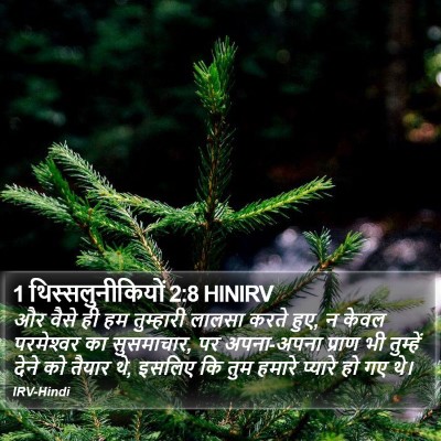 1 थिस्सलुनीकियों 2:8 HINIRV Bible Verse Image