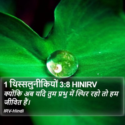 1 थिस्सलुनीकियों 3:8 HINIRV Bible Verse Image