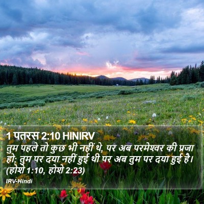 1 पतरस 2:10 HINIRV Bible Verse Image