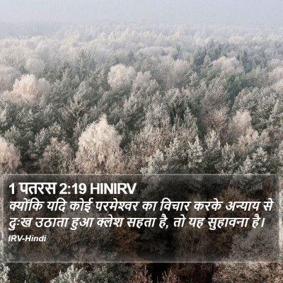 1 पतरस 2:19 HINIRV Bible Verse Image
