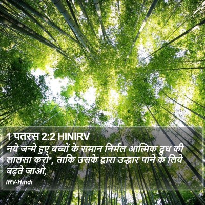 1 पतरस 2:2 HINIRV Bible Verse Image